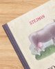 A kosztromai szarvasmarha kitenyésztése -  Sz. I. Stejman