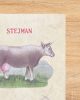 A kosztromai szarvasmarha kitenyésztése -  Sz. I. Stejman