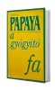 Papaya - a gyógyító fa - Harald W. Tietze