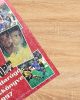 A Nemzeti Sport labdarúgó-évkönyve 1996-97. - Dénes Tamás