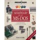A számítógép és az MS-DOS - Simon Collin