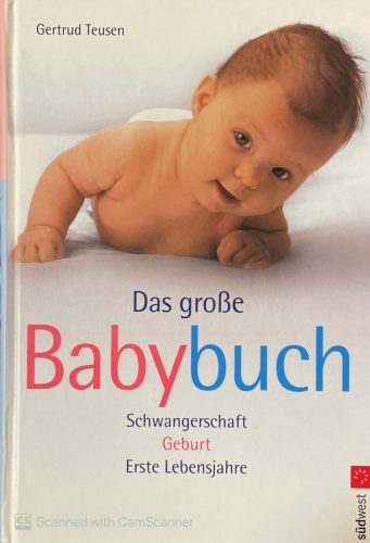 Das große Babybuch - Gertrud Teusen