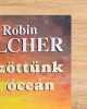 Közöttünk az óceán - Robin Pilcher