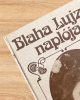 Blaha Lujza naplója - Csillag Ilona