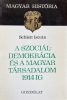 A szociáldemokrácia és a magyar társadalom 1914-ig - Schlett István