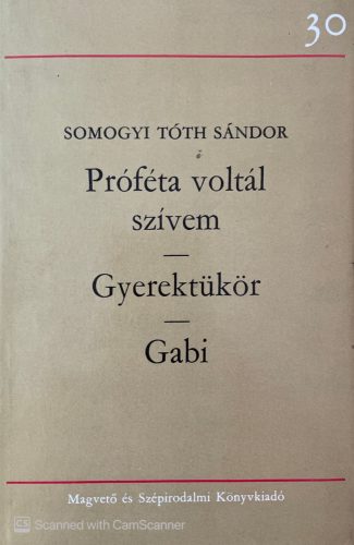 Próféta voltál szívem/Gyerektükör/Gabi - Somogyi Tóth Sándor