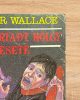 A megriadt hölgy esete - Edgar Wallace