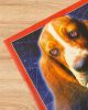 Kutya mindent tudó - Steven Reddog